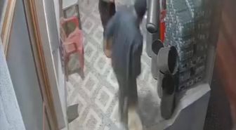 Sarıgöl'de sahipsiz köpeklerin saldırısına uğrayan adamın parmağı koptu