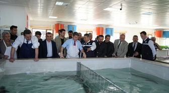 Amasya'daki tesiste mersin balığı ile sazan ve yayın balığı üretimi yapılıyor