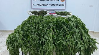Antalya'da uyuşturucu operasyonunda 1 kişi tutuklandı