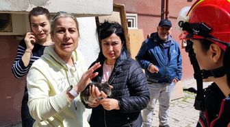 Avcılar'da yıkımı yapılan binada mahsur kalan yavru kediyi itfaiye kurtardı