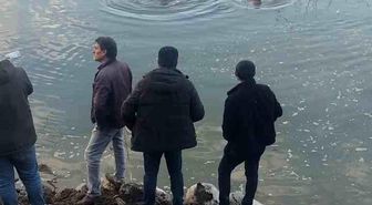 Baraj gölüne uçan otomobildeki sürücüyü ekipler kurtardı
