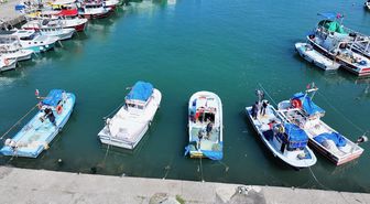 Batı Karadeniz ve Doğu Marmara'da balıkçılar bu sezon umduğunu bulamadı