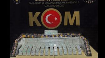 Bilecik'te kaçakçılık operasyonunda 2 zanlı yakalandı