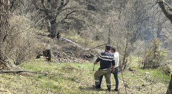 Bolu'da otluk alanda çıkan yangını söndürüldü