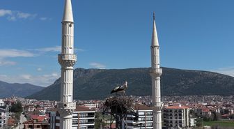 Burdur'da leylekler 30 yıldır aynı elektrik direğine yuva yapıyor