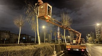 Büyükşehir Belediyesi ekipleri, ağaçlarda budama çalışması yapıyor