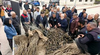 Çemişgezek'te vatandaşlara 800 fidan dağıtıldı