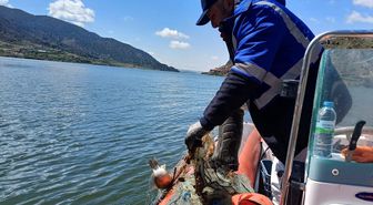 Çorum'da kaçak avcılıkta kullanılan 7 bin 200 metre misina ağına el konuldu