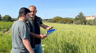 Datça'da tarım arazilerinde üretim planlaması kontrolleri yapıldı