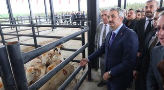 Edirne'de Havsa Canlı Hayvan Pazarı düzenlenen törenle açıldı
