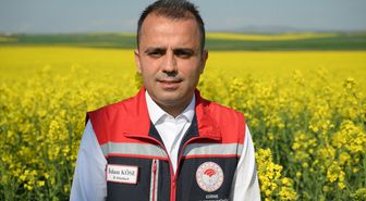 Edirne'de yaz kuraklığının görüldüğü bölgelerde kanola alternatif ürün oldu