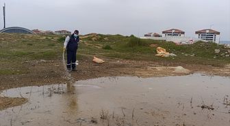 Edirne'den kısa kısa