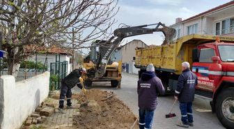 Edirne'den kısa kısa