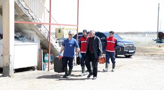 Erzurum'da belediyenin besiciye hizmetiyle hayvan kalitesinin artırılması hedefleniyor