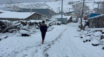 Erzurum, Kars ve Ardahan'da kar yağışı ve soğuk hava etkili oluyor