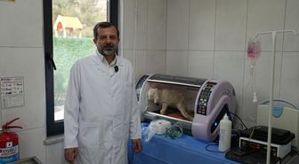 Gürsu'da butik hayvanat bahçesi yeni sakinlerini ağırlıyor