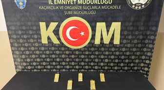 Hatay'da sırt çantasında 8 kilogram gümrük kaçağı altın ele geçirilen zanlı tutuklandı
