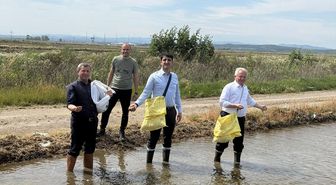 İpsala'da çeltik ekim sezonu başladı
