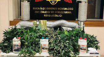 İzmir'de evde uyuşturucu yetiştiren 2 şüpheli yakalandı