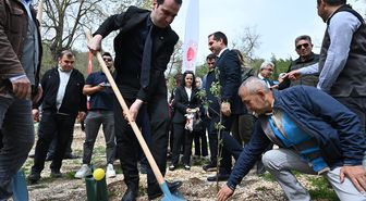 Kadirli ilçesinde 'Adalet Ormanı' oluşturuldu