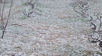 Elazığ'da Nisan Karı Üreticileri Endişelendirdi