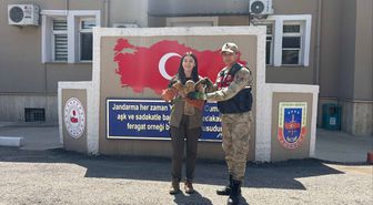 Kilis'te yaralı bulunan kızıl şahin koruma altına alındı