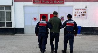 Kırşehir'de sahipsiz köpeği tüfekle öldüren zanlı tutuklandı