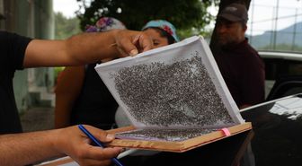 Muğla'da ipekböcekçiliği yeniden hayat buluyor