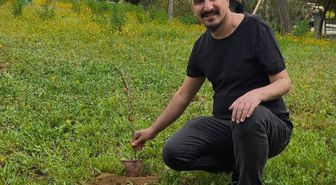 Mut'ta hastane bahçesine 150 zeytin fidanı dikildi