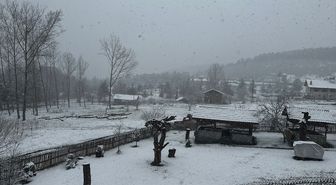 Niksar'da kar yağışı etkili oldu