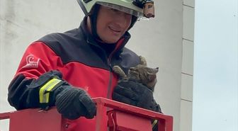 Rize'de ağaçta mahsur kalan kedi itfaiye ekiplerince kurtarıldı