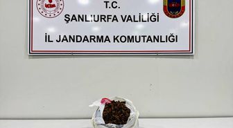 Şanlıurfa'da araçta 1 kilogram uyuşturucuyla yakalanan 2 şüpheli gözaltına alındı