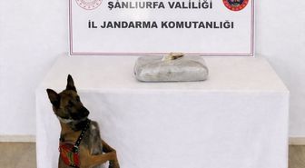 Şanlıurfa'da düzenlenen uyuşturucu operasyonunda 1 şüpheli yakalandı