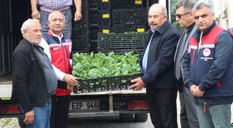 Siirt'te üreticilere yüzde 75 hibe ile 60 bin sebze fidesi dağıtıldı