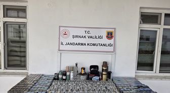 Şırnak'ta kaçakçılık ve asayiş operasyonlarında 1 kişi tutuklandı