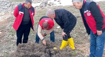 Süne mücadelesi için ilkbahar kışlak sürveyleri yapıldı