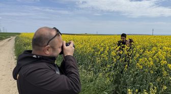 Tekirdağ'da kanola tarlasında foto safari düzenlendi
