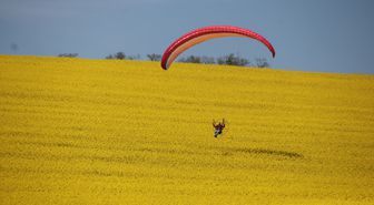 Tekirdağ'da paramotorla kanola tarlası üzerinde uçuş yapıldı
