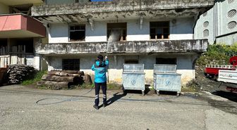 Trabzon'da kahverengi kokarca ile mücadele devam ediyor