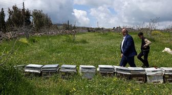 Türkiye'den Suriye'ye dönen aile, Kuneytra'da İsrail ihlallerinin gölgesinde arıcılıkla yeni bir hayat kurdu