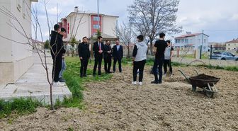 Ulaş'ta öğrenciler okul bahçesine meyve fidanı dikti