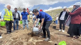 Ürdün'de Türk şehitleri anısına TİKA tarafından yüzlerce zeytin fidanı dikildi