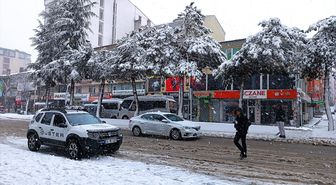 Van ve Bitlis'te kar etkili oldu