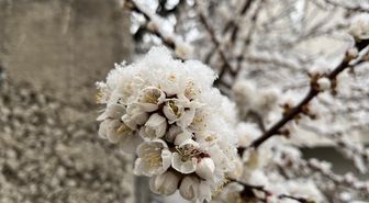 Yozgat'ta Nisan Ayında Kar Yağışı