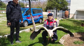 Yozgat'ta yaralı bulunan leylek tedaviye alındı