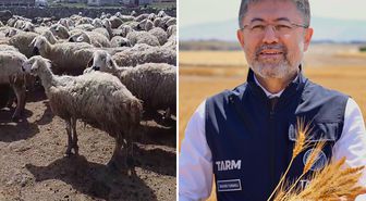 Bakan Yumaklı'nın 'Örnek üretici' dediği çiftçi video çekip yardım istedi