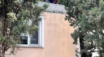 Defne'de ağaçta mahsur kalan kediyi itfaiye kurtardı