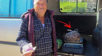 Kazdağları'nın eteklerinden toplayıp kilosunu 1000 TL'ye satıyorlar