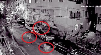 Avcılar'da sahipsiz köpeklerin saldırısından kaçan kişi otomobilin üzerine çıktı