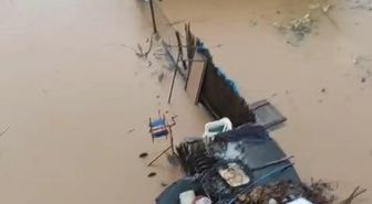 Siirt'te sağanak nedeniyle dere taştı, ev ve arazileri su bastı